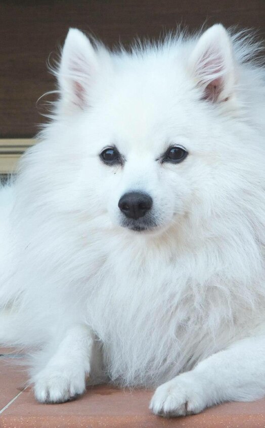 14691415 1860207694236209 1864651234257377548 o