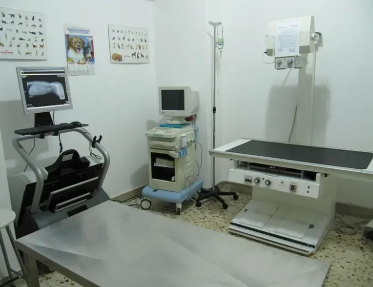 centro veterinario messina (1)