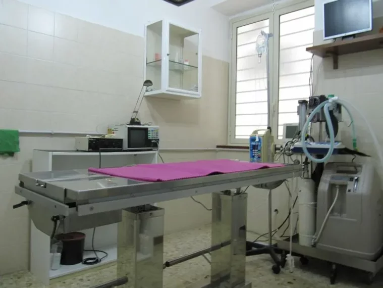 centro veterinario messina (3)