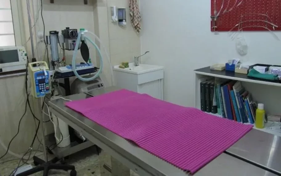 centro veterinario messina (6)