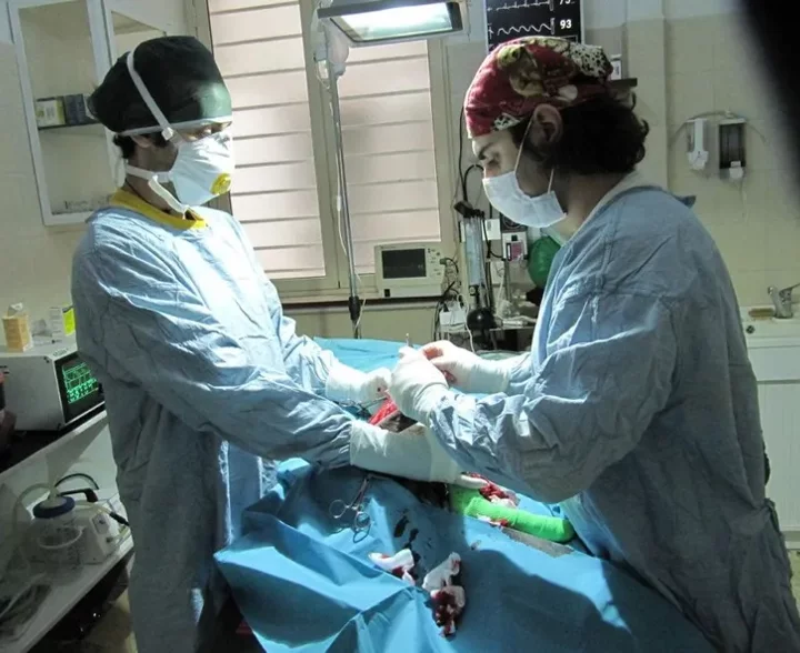 chirurgia veterinaria messina (1)