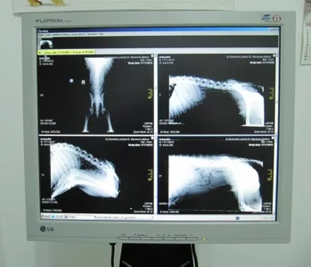 img.ltc0nze3nti3mg 792w