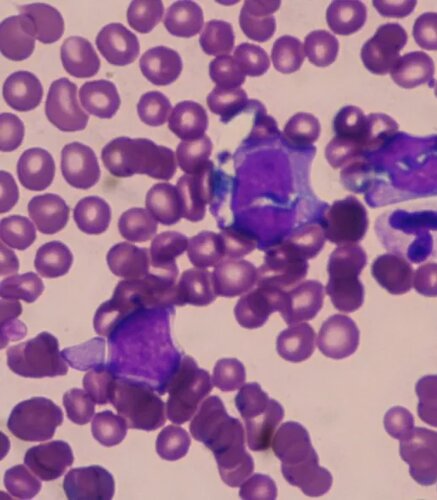 img.lte2ntu2ode1mdi 792w