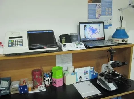 Staff medico img.lte4mdyzotm2mjq 480w