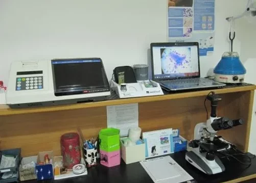 img.lte4mdyzotm2mjq 480w