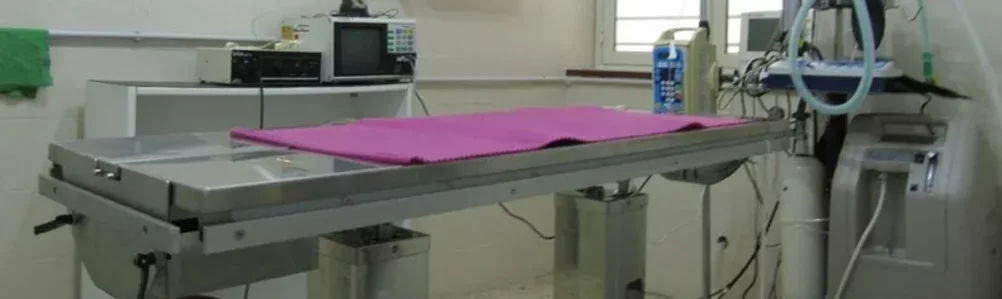 img.ltq2mzu2mdy4mw 792w