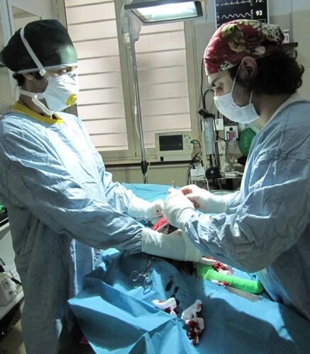 Chirurgia img.mtawmtqymtaz 792w