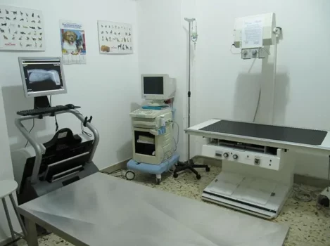 Staff medico img.mteyotqxntm4oq 792w