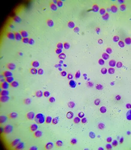 img.mti5mzcynzqwmg 792w