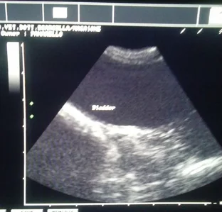 img.ody4mdkzota1 792w