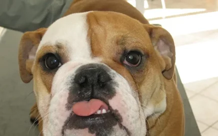 oftalmologia messina (1)