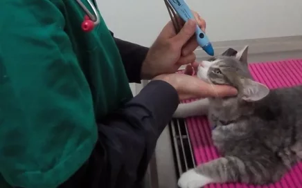 oftalmologia messina (3)